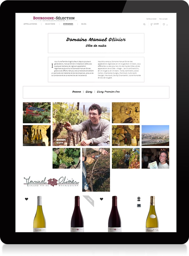 Bourgogne Sélection domaine - Michael van Houten