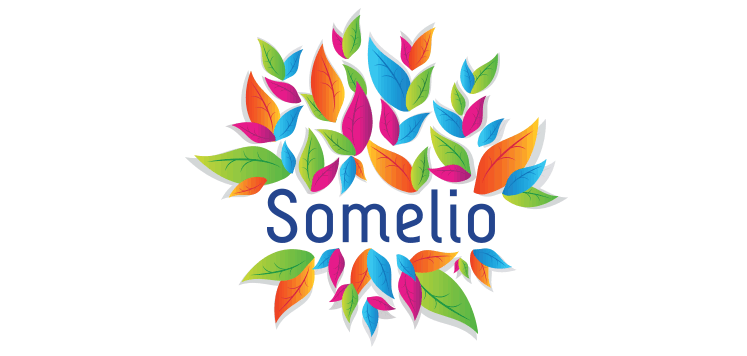 Logo Somelio - Michael van Houten